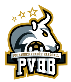 Offre d'emploi Pouzauges Vendée Handball