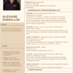 Voici mon CV