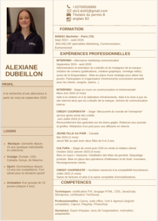 Voici mon CV